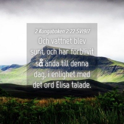 Picture 04 - 2 Kungaboken 2:22 SV1917 - Och vattnet blev sunt, och har förblivit så - Bible Verse Picture
