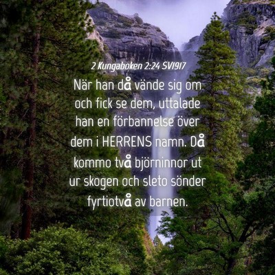 Picture 04 - 2 Kungaboken 2:24 SV1917 - När han då vände sig om och fick se dem, - Bible Verse Picture