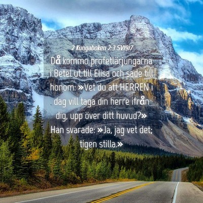 Picture 04 - 2 Kungaboken 2:3 SV1917 - Då kommo profetlärjungarna i Betel ut till - Bible Verse Picture