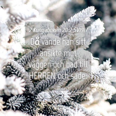 Picture 04 - 2 Kungaboken 20:2 SV1917 - Då vände han sitt ansikte mot väggen och bad - Bible Verse Picture