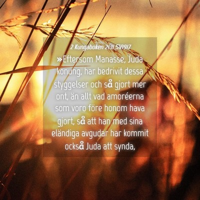 Picture 04 - 2 Kungaboken 21:11 SV1917 - »Eftersom Manasse, Juda konung, har bedrivit - Bible Verse Picture
