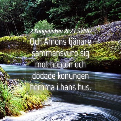 Picture 04 - 2 Kungaboken 21:23 SV1917 - Och Amons tjänare sammansvuro sig mot honom och - Bible Verse Picture