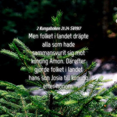 Picture 04 - 2 Kungaboken 21:24 SV1917 - Men folket i landet dräpte alla som hade - Bible Verse Picture