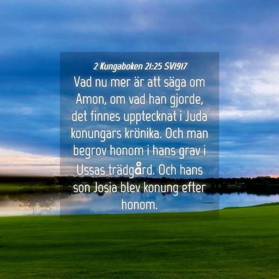 Picture 04 - 2 Kungaboken 21:25 SV1917 - Vad nu mer är att säga om Amon, om vad han - Bible Verse Picture
