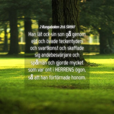 Picture 04 - 2 Kungaboken 21:6 SV1917 - Han lät ock sin son gå genom eld och övade - Bible Verse Picture