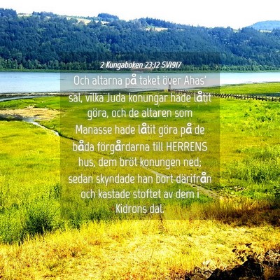Picture 04 - 2 Kungaboken 23:12 SV1917 - Och altarna på taket över Ahas' sal, vilka Juda - Bible Verse Picture