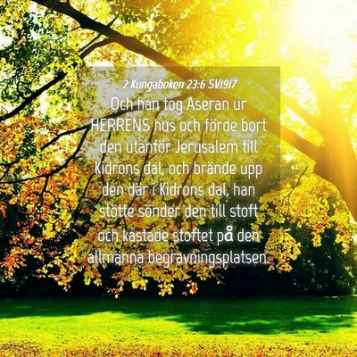 Picture 04 - 2 Kungaboken 23:6 SV1917 - Och han tog Aseran ur HERRENS hus och förde bort - Bible Verse Picture