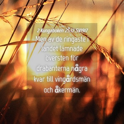 Picture 04 - 2 Kungaboken 25:12 SV1917 - Men av de ringaste i landet lämnade översten - Bible Verse Picture