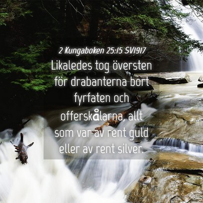 Picture 04 - 2 Kungaboken 25:15 SV1917 - Likaledes tog översten för drabanterna bort - Bible Verse Picture