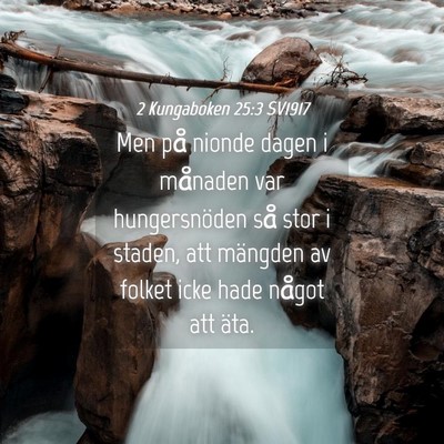 Picture 04 - 2 Kungaboken 25:3 SV1917 - Men på nionde dagen i månaden var hungersnöden - Bible Verse Picture