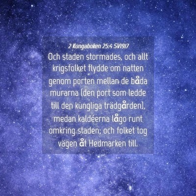 Picture 04 - 2 Kungaboken 25:4 SV1917 - Och staden stormades, och allt krigsfolket flydde - Bible Verse Picture