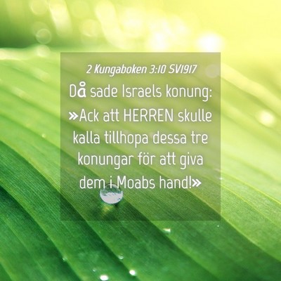Picture 04 - 2 Kungaboken 3:10 SV1917 - Då sade Israels konung: »Ack att HERREN skulle - Bible Verse Picture