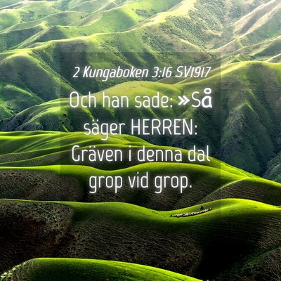 Picture 04 - 2 Kungaboken 3:16 SV1917 - Och han sade: »Så säger HERREN: Gräven i - Bible Verse Picture