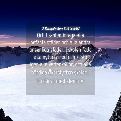 Picture 04 - 2 Kungaboken 3:19 SV1917 - Och I skolen intaga alla befästa städer och - Bible Verse Picture