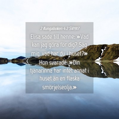 Picture 04 - 2 Kungaboken 4:2 SV1917 - Elisa sade till henne: »Vad kan jag göra för - Bible Verse Picture