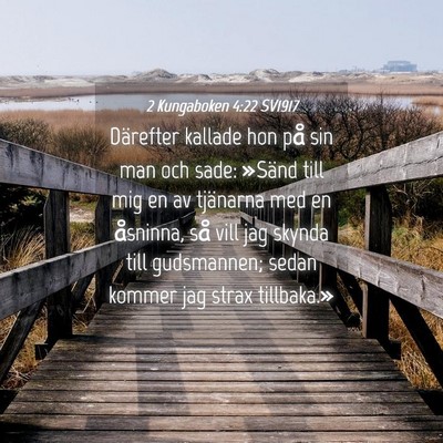 Picture 04 - 2 Kungaboken 4:22 SV1917 - Därefter kallade hon på sin man och sade: - Bible Verse Picture