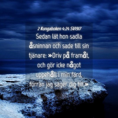 Picture 04 - 2 Kungaboken 4:24 SV1917 - Sedan lät hon sadla åsninnan och sade till sin - Bible Verse Picture