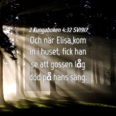 Picture 04 - 2 Kungaboken 4:32 SV1917 - Och när Elisa kom in i huset, fick han se att - Bible Verse Picture