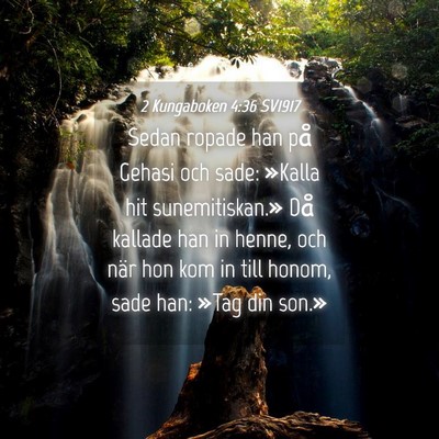 Picture 04 - 2 Kungaboken 4:36 SV1917 - Sedan ropade han på Gehasi och sade: »Kalla hit - Bible Verse Picture