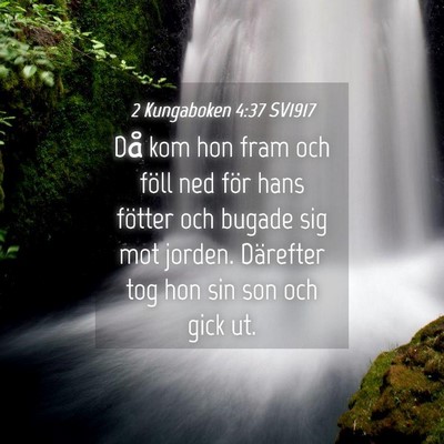 Picture 04 - 2 Kungaboken 4:37 SV1917 - Då kom hon fram och föll ned för hans fötter - Bible Verse Picture