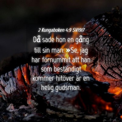 Picture 04 - 2 Kungaboken 4:9 SV1917 - Då sade hon en gång till sin man: »Se, jag har - Bible Verse Picture