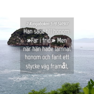 Picture 04 - 2 Kungaboken 5:19 SV1917 - Han sade till honom: »Far i frid.» Men när - Bible Verse Picture