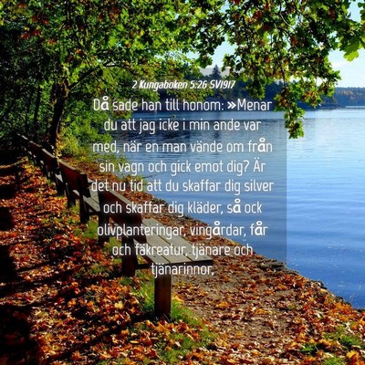 Picture 04 - 2 Kungaboken 5:26 SV1917 - Då sade han till honom: »Menar du att jag icke - Bible Verse Picture