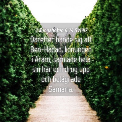 Picture 04 - 2 Kungaboken 6:24 SV1917 - Därefter hände sig att Ben-Hadad, konungen i - Bible Verse Picture