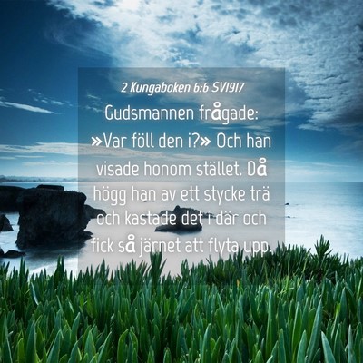 Picture 04 - 2 Kungaboken 6:6 SV1917 - Gudsmannen frågade: »Var föll den i?» Och han - Bible Verse Picture