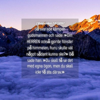 Picture 04 - 2 Kungaboken 7:19 SV1917 - då svarade kämpen gudsmannen och sade: »Om - Bible Verse Picture