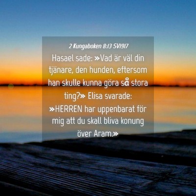 Picture 04 - 2 Kungaboken 8:13 SV1917 - Hasael sade: »Vad är väl din tjänare, den - Bible Verse Picture