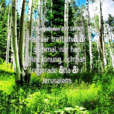 Picture 04 - 2 Kungaboken 8:17 SV1917 - Han var trettiotvå år gammal, när han blev - Bible Verse Picture