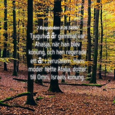 Picture 04 - 2 Kungaboken 8:26 SV1917 - Tjugutvå år gammal var Ahasja, när han blev - Bible Verse Picture