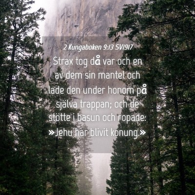 Picture 04 - 2 Kungaboken 9:13 SV1917 - Strax tog då var och en av dem sin mantel och - Bible Verse Picture