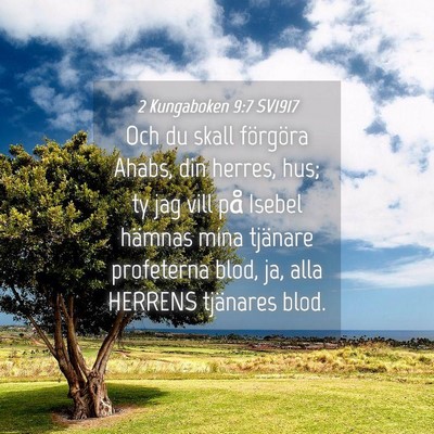 Picture 04 - 2 Kungaboken 9:7 SV1917 - Och du skall förgöra Ahabs, din herres, hus; ty - Bible Verse Picture
