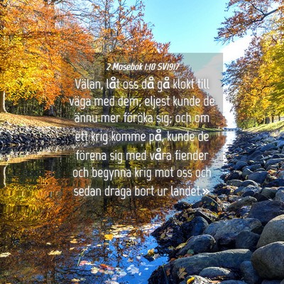 Picture 04 - 2 Mosebok 1:10 SV1917 - Välan, låt oss då gå klokt till väga med - Bible Verse Picture