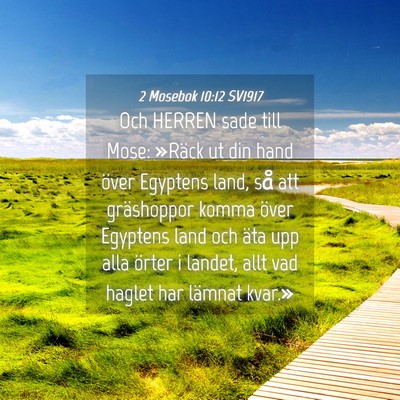 Picture 04 - 2 Mosebok 10:12 SV1917 - Och HERREN sade till Mose: »Räck ut din hand - Bible Verse Picture