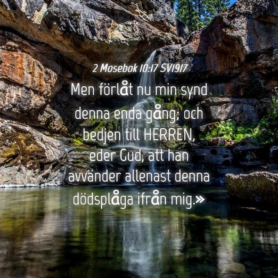 Picture 04 - 2 Mosebok 10:17 SV1917 - Men förlåt nu min synd denna enda gång; och - Bible Verse Picture