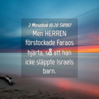 Picture 04 - 2 Mosebok 10:20 SV1917 - Men HERREN förstockade Faraos hjärta, så att - Bible Verse Picture