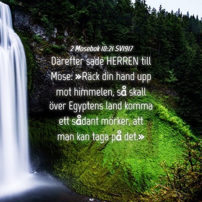 Picture 04 - 2 Mosebok 10:21 SV1917 - Därefter sade HERREN till Mose: »Räck din hand - Bible Verse Picture