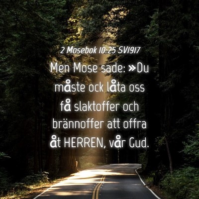Picture 04 - 2 Mosebok 10:25 SV1917 - Men Mose sade: »Du måste ock låta oss få - Bible Verse Picture