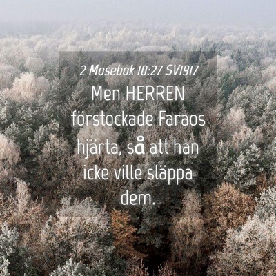 Picture 04 - 2 Mosebok 10:27 SV1917 - Men HERREN förstockade Faraos hjärta, så att - Bible Verse Picture