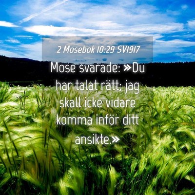 Picture 04 - 2 Mosebok 10:29 SV1917 - Mose svarade: »Du har talat rätt; jag skall - Bible Verse Picture