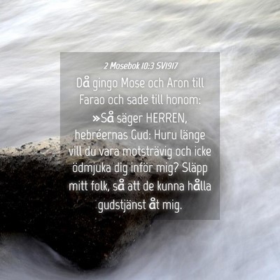 Picture 04 - 2 Mosebok 10:3 SV1917 - Då gingo Mose och Aron till Farao och sade till - Bible Verse Picture