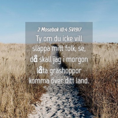 Picture 04 - 2 Mosebok 10:4 SV1917 - Ty om du icke vill släppa mitt folk, se, då - Bible Verse Picture