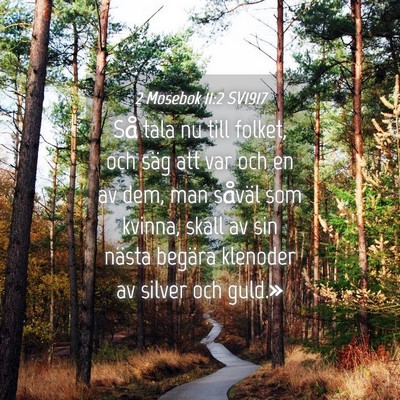 Picture 04 - 2 Mosebok 11:2 SV1917 - Så tala nu till folket, och säg att var och en - Bible Verse Picture