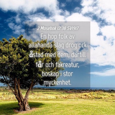 Picture 04 - 2 Mosebok 12:38 SV1917 - En hop folk av allahanda slag drog ock åstad med - Bible Verse Picture