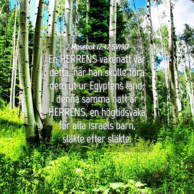 Picture 04 - 2 Mosebok 12:42 SV1917 - En HERRENS vakenatt var detta, när han skulle - Bible Verse Picture