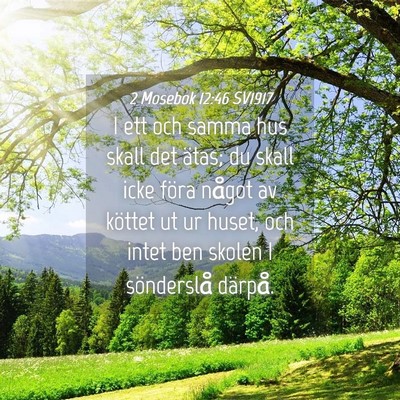Picture 04 - 2 Mosebok 12:46 SV1917 - I ett och samma hus skall det ätas; du skall - Bible Verse Picture