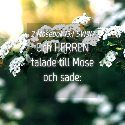 Picture 04 - 2 Mosebok 13:1 SV1917 - Och HERREN talade till Mose och - Bible Verse Picture